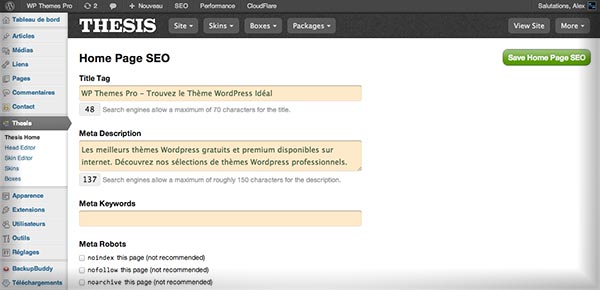 Thesis - Homepage SEO
