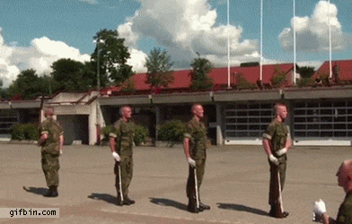 Soldats au garde à vous