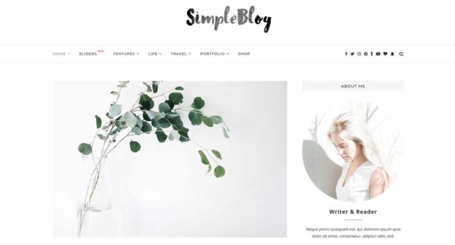 Thème WordPress Soledad