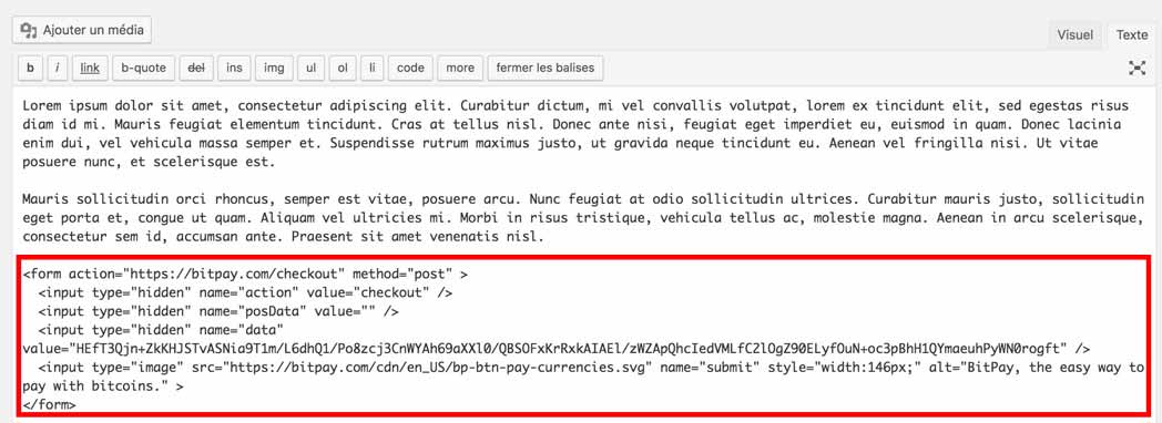 Intégration du code BitPay dans l'éditeur de texte