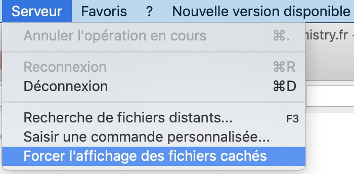 Affichage des fichiers cachés de WordPress.