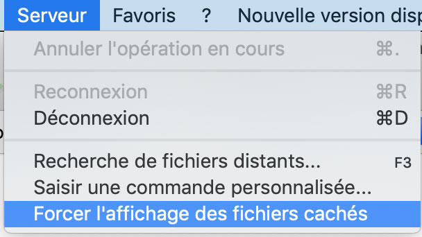 Forcer l'affichage des fichiers cachés sur Filezilla