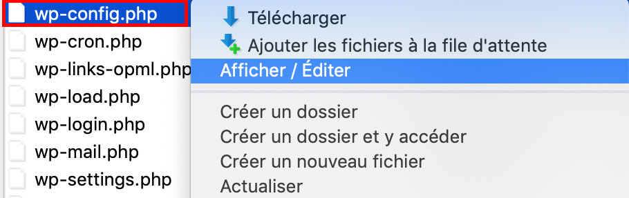 Le fichier wp-config sur un client FTP