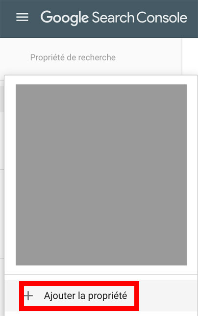 Ajout propriété Google Search Console