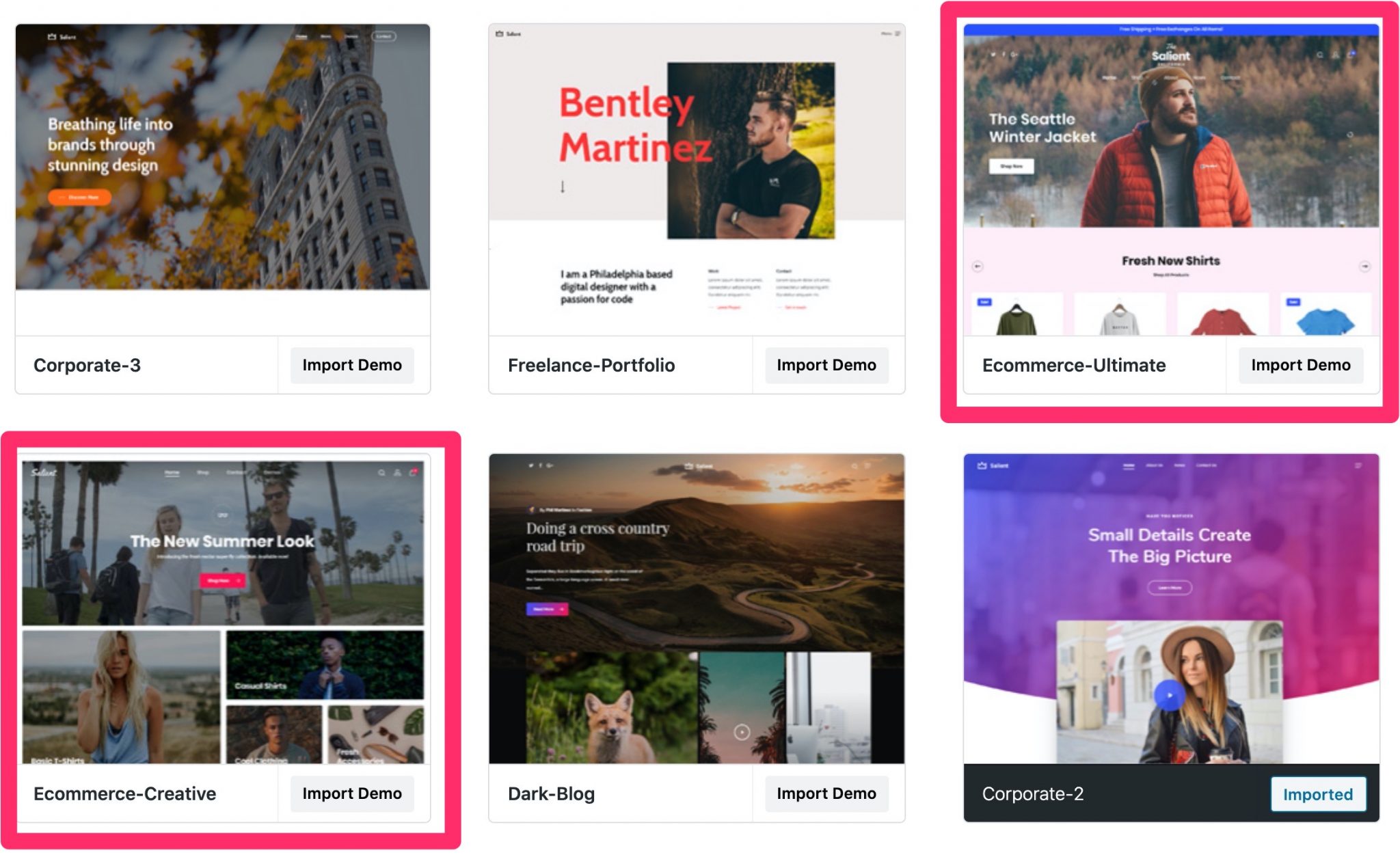 Démos ecommerce de Salient