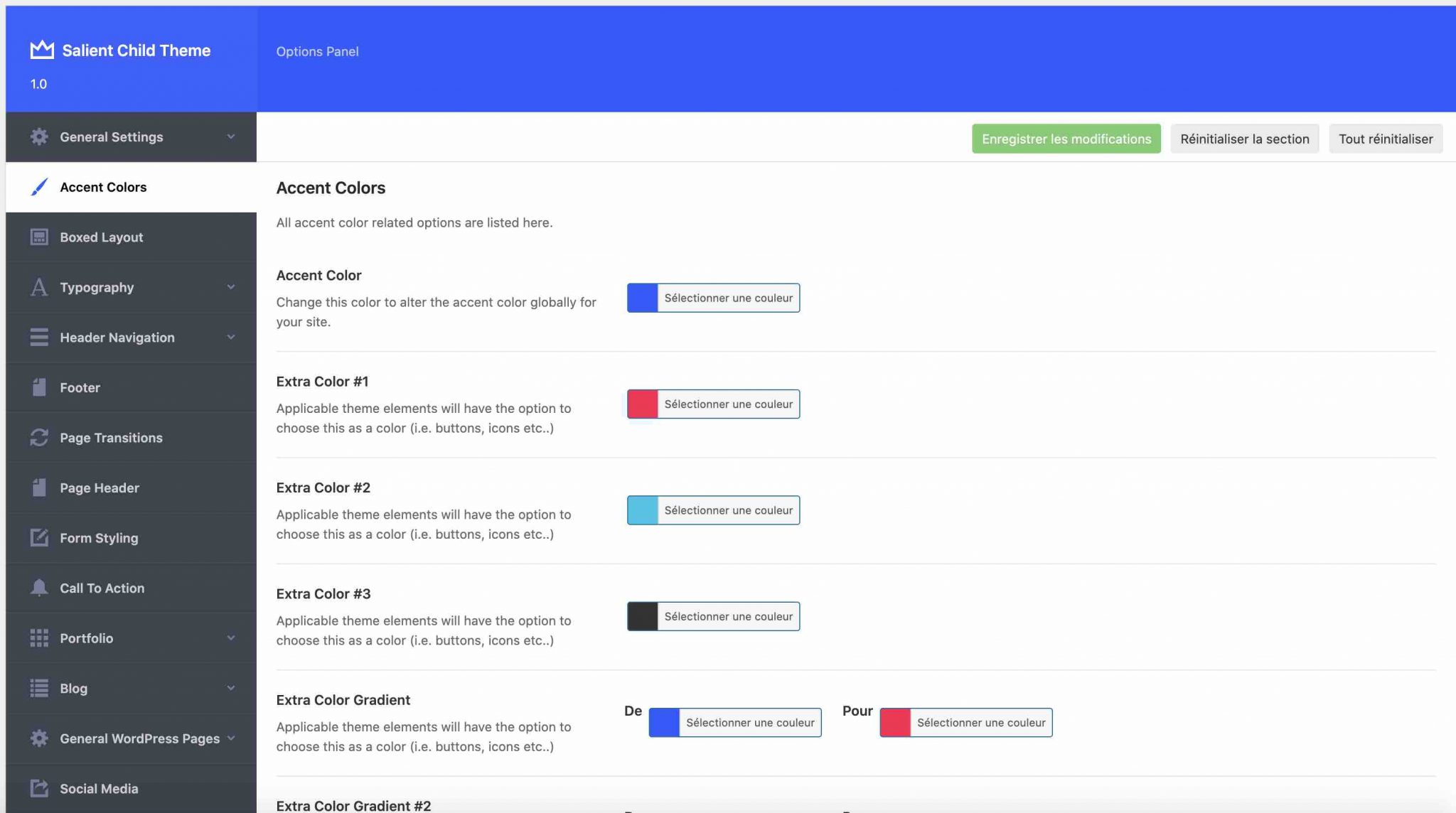 Options du panel de Salient