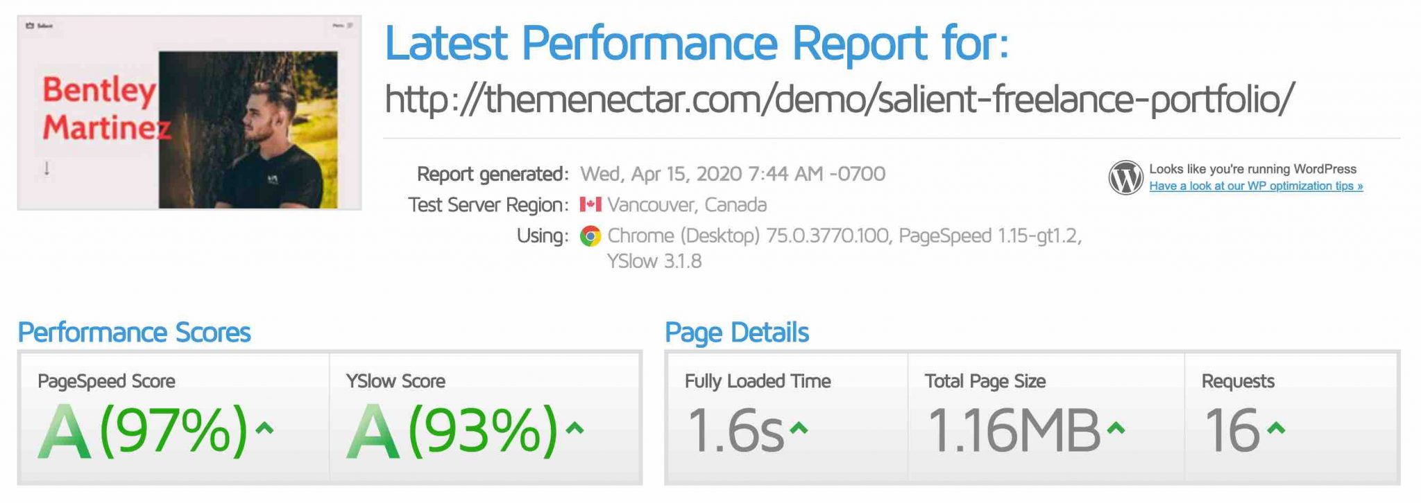 Rapport de performance de la démo Freelance Portfolio du thème Salient