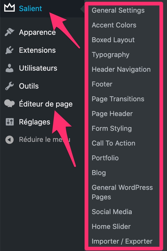Réglages de Salient