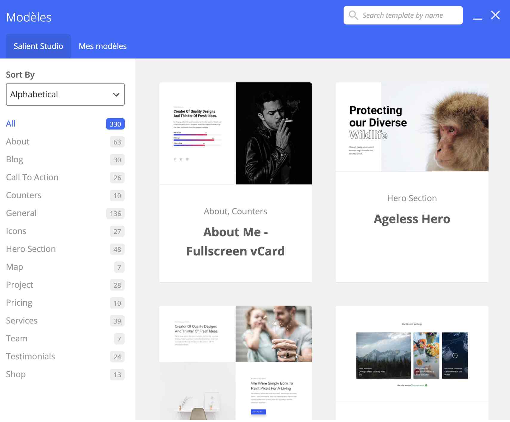 Les modèles du Salient Studio