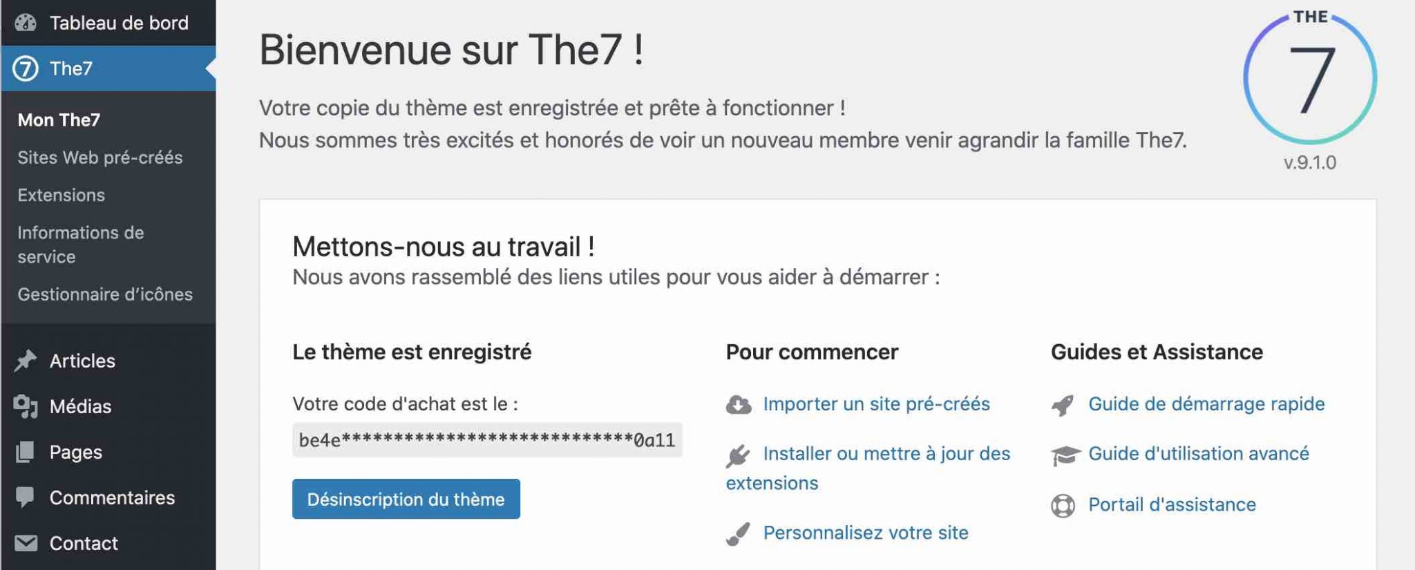 Interface du thème WordPress The7