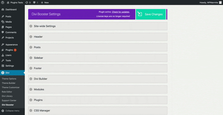 divi booster introduction