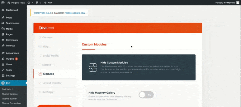 divi pixel modules