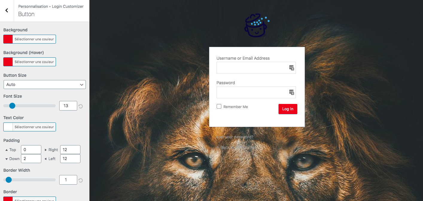 Personnalisation du bouton de connexion à l'administration WordPress