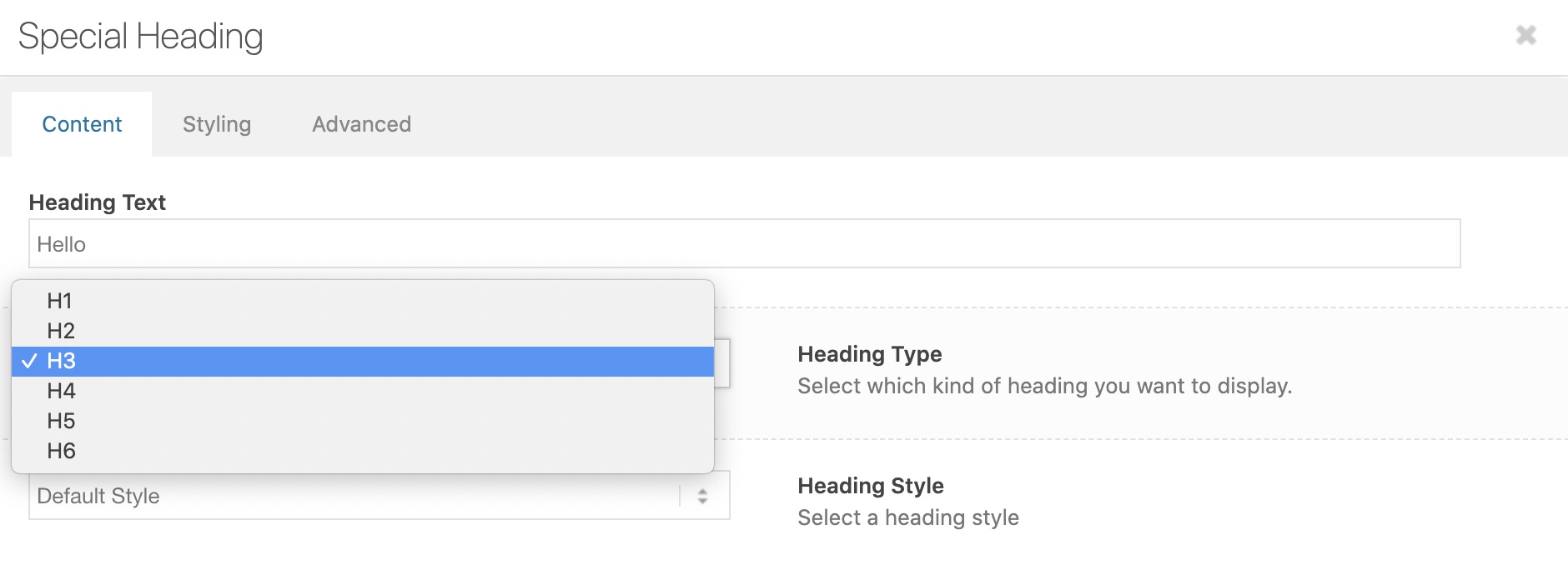 hn tags in the Enfold theme settings