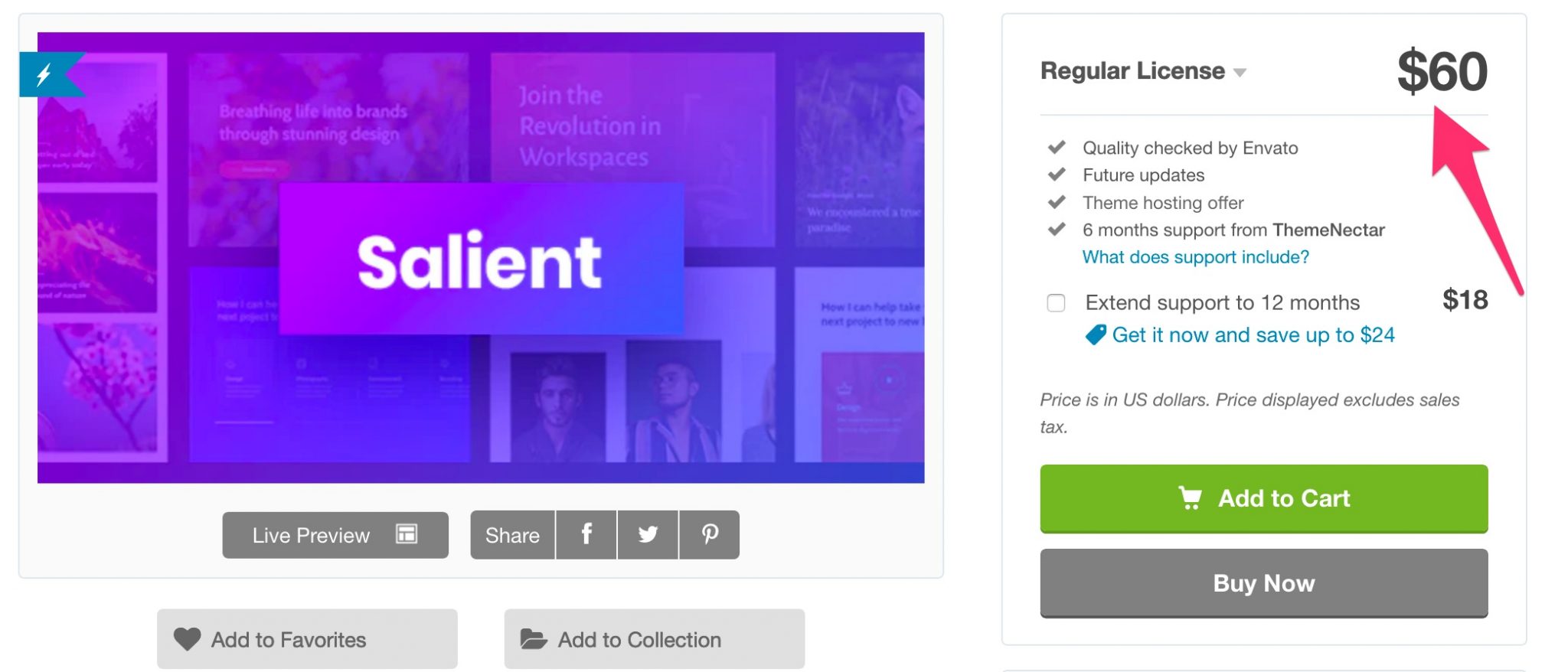 Salient price of regular licence on ThemeForest