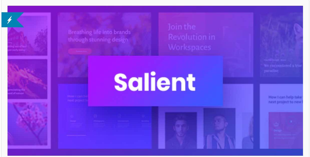 Salient theme from ThemeForest