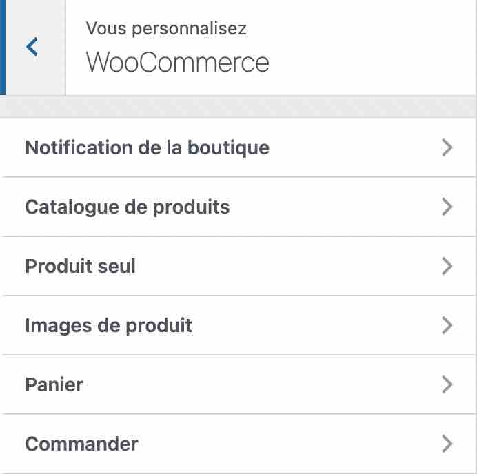 Réglages de l'extension WooCommerce avec Astra Pro.