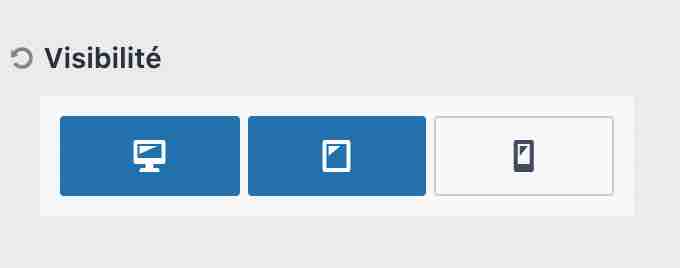 Visibilité en responsive.