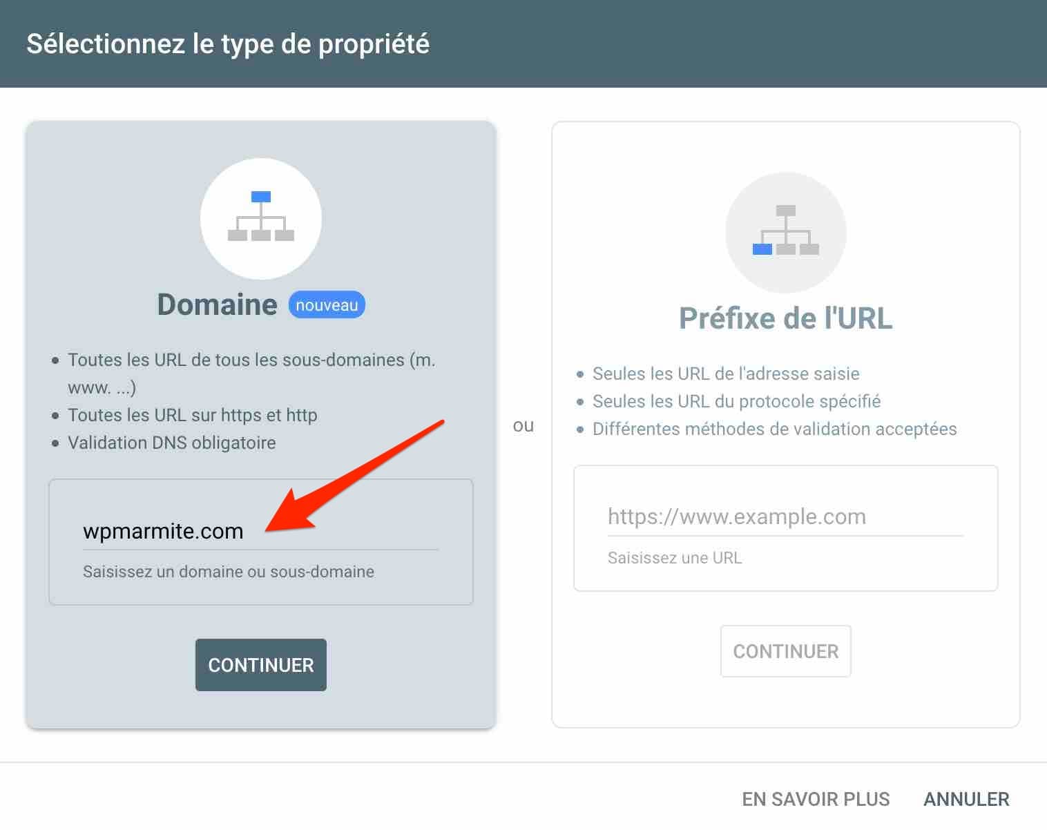 Encart Domaine de la Google Search Console