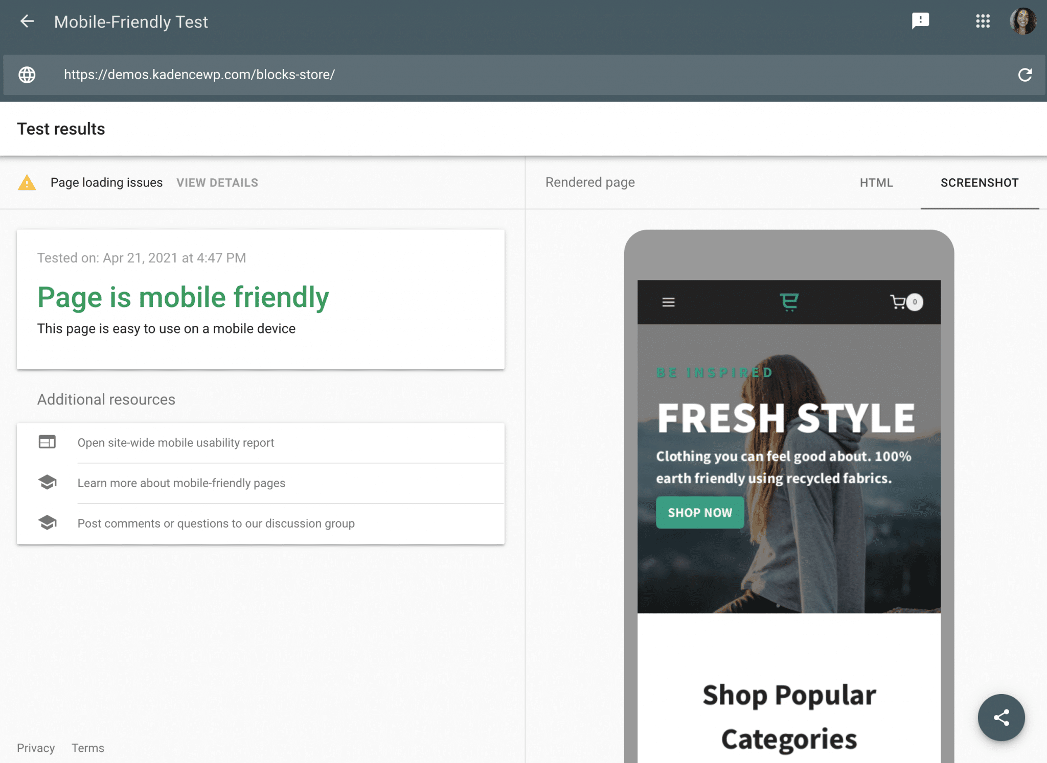 Google Mobile-Friendly test for Kadence theme