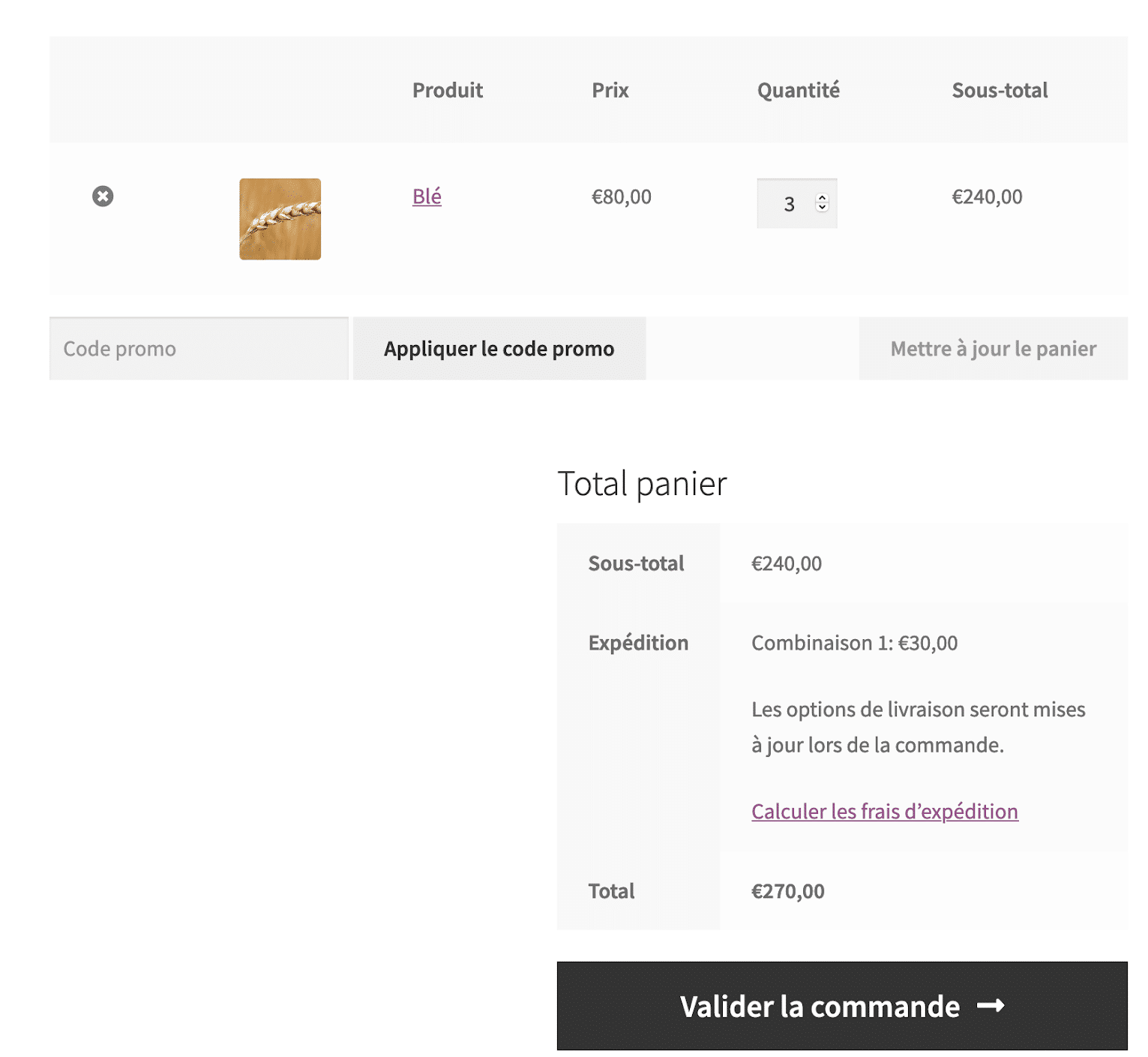 Les règles de livraison s'appliquent quand les conditions sont remplies Aperçu du panier avec WooCommerce Advanced Shipping.