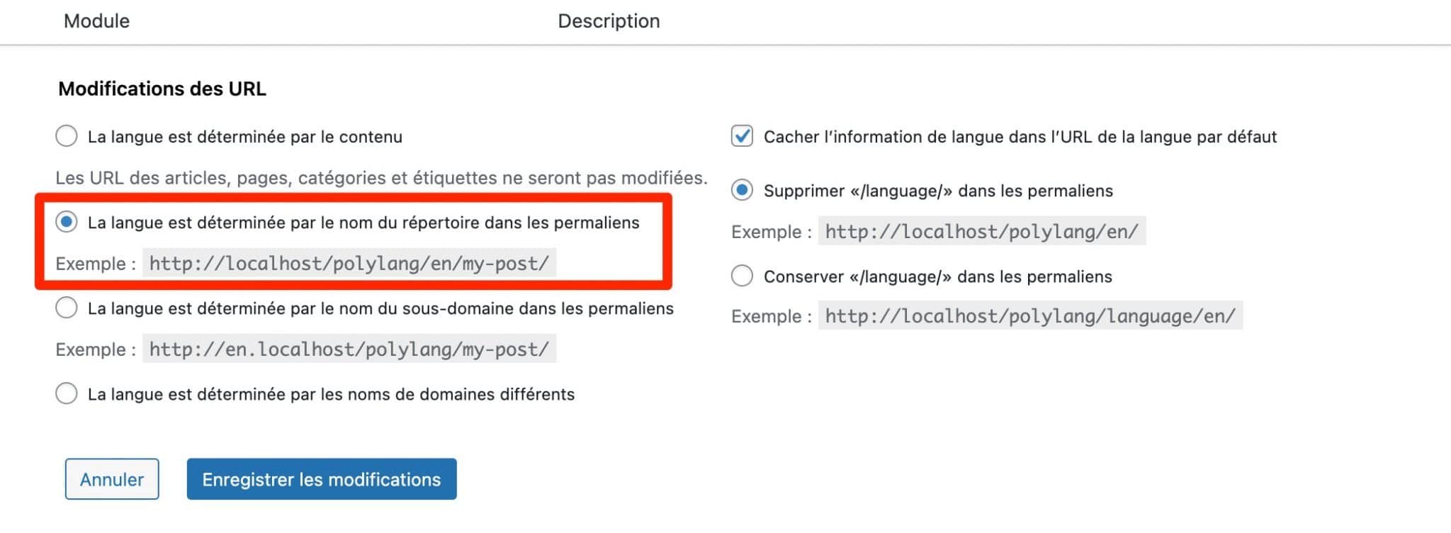 Avec Polylang sur WordPress, vous pouvez déterminer l'apparence de vos URLs.