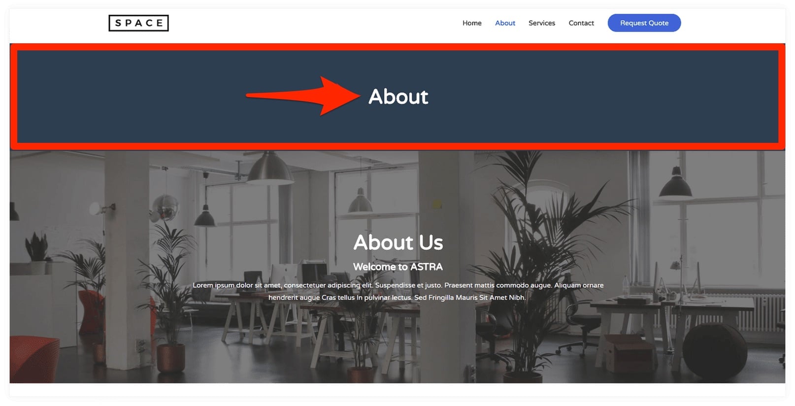 Example of Astra page header.