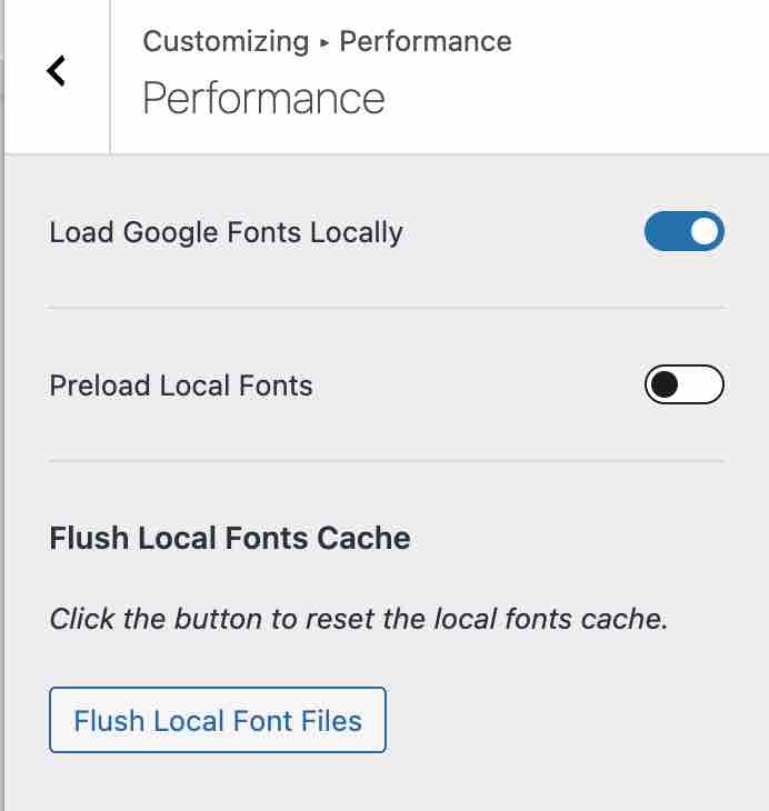 Astra theme WordPress customizer performance tab.