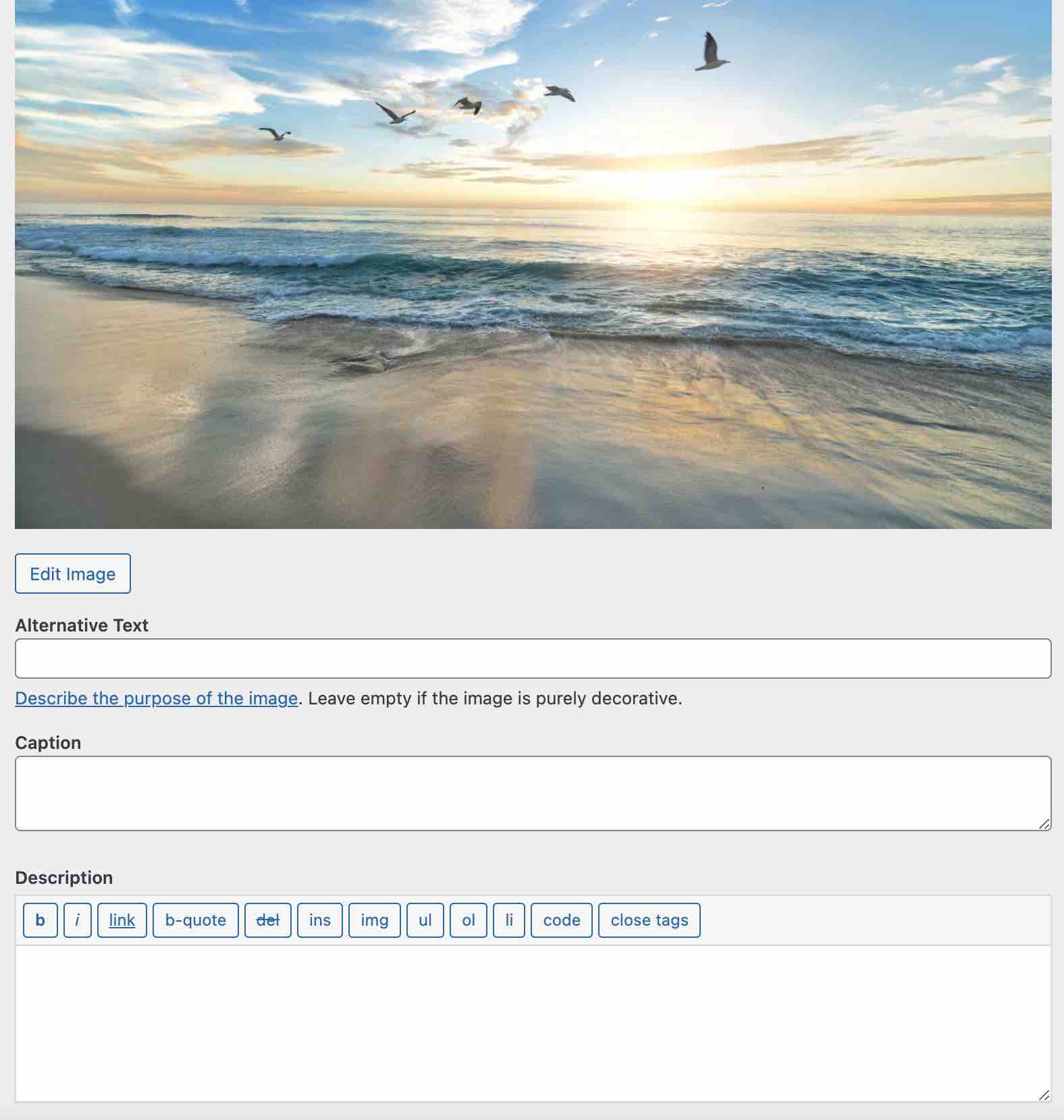 Image fields to fill in: alternative text, caption, description.