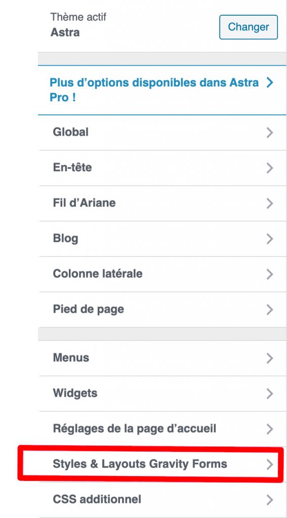 Menu Styles & Layouts Gravity Forms dans l'outil de personnalisation.
