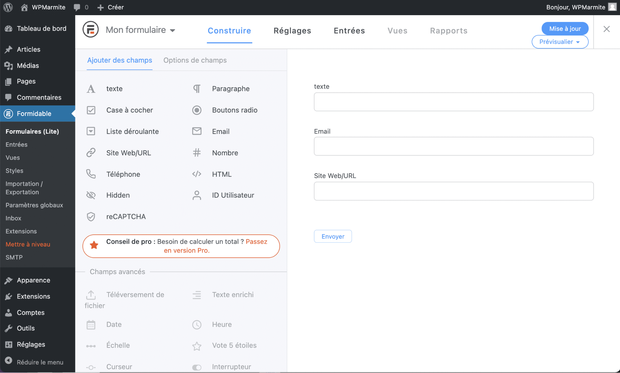 Exemple de type de contenu personnalisé avec l’extension Formidable Forms.