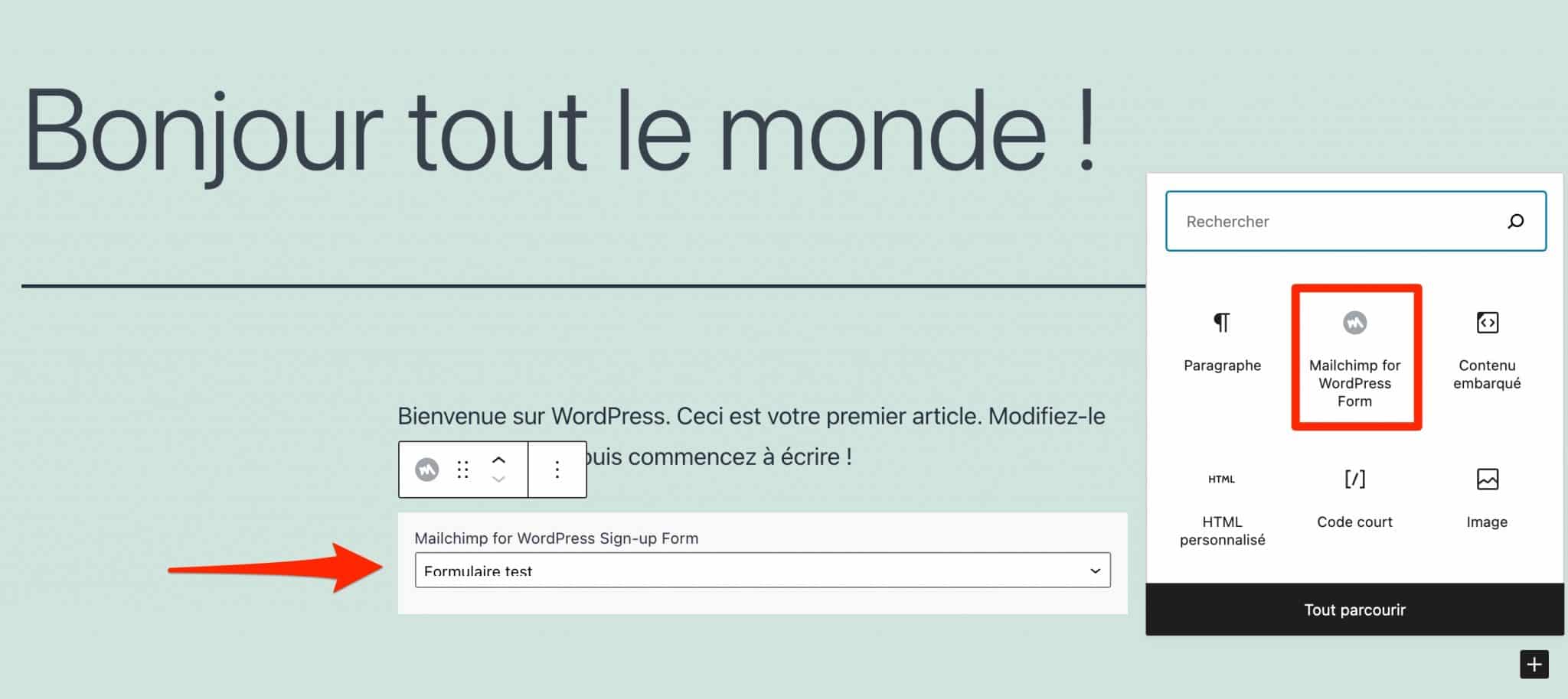 Le bloc Gutenberg Mailchimp for WordPress.