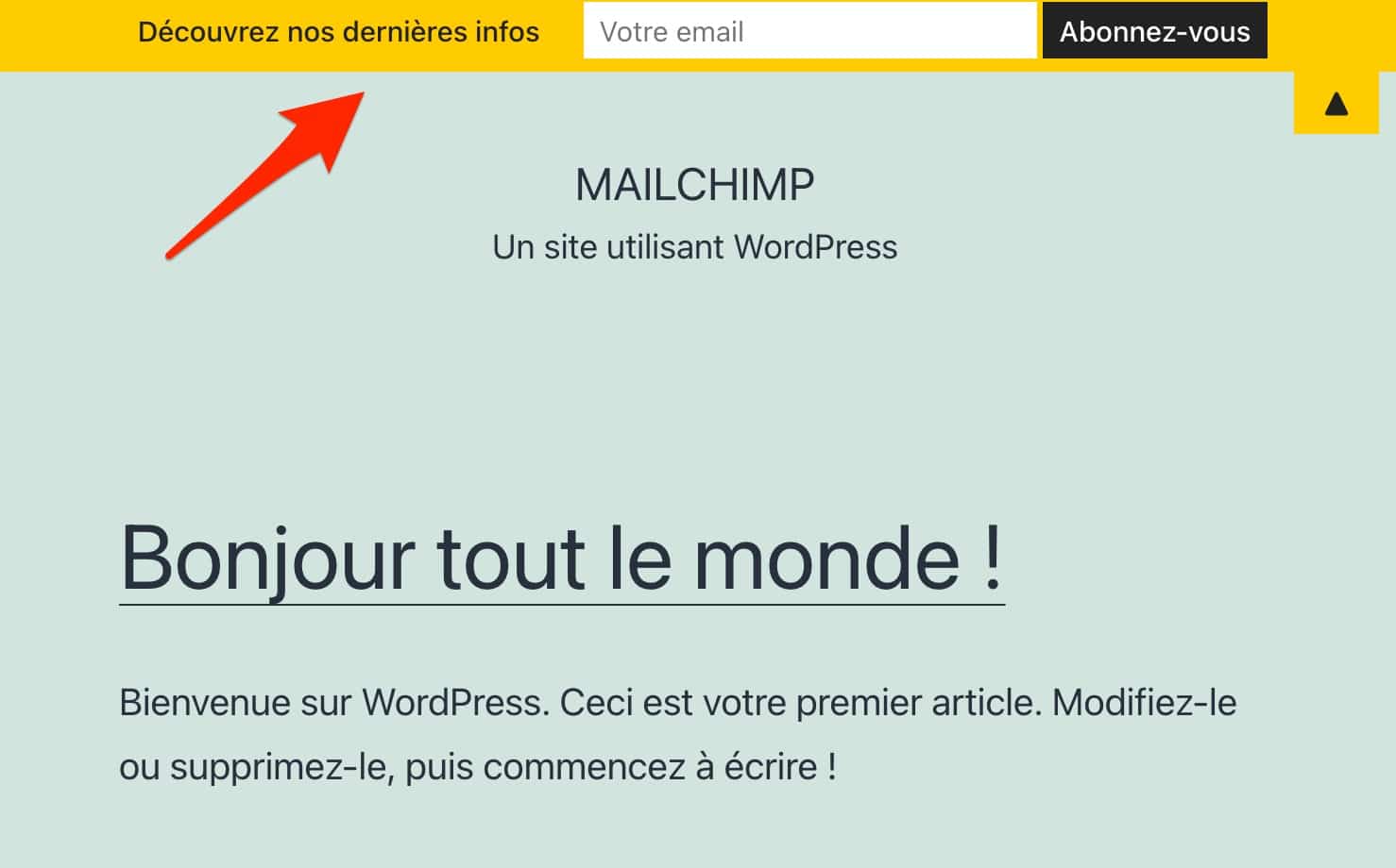 L'intégration d'une barre de notification créée avec Mailchimp Top Bar.