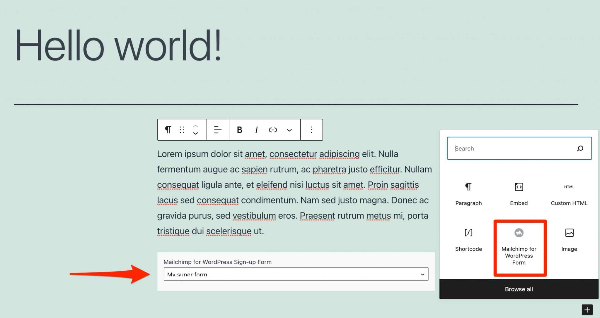 The Gutenberg block Mailchimp for WordPress form.