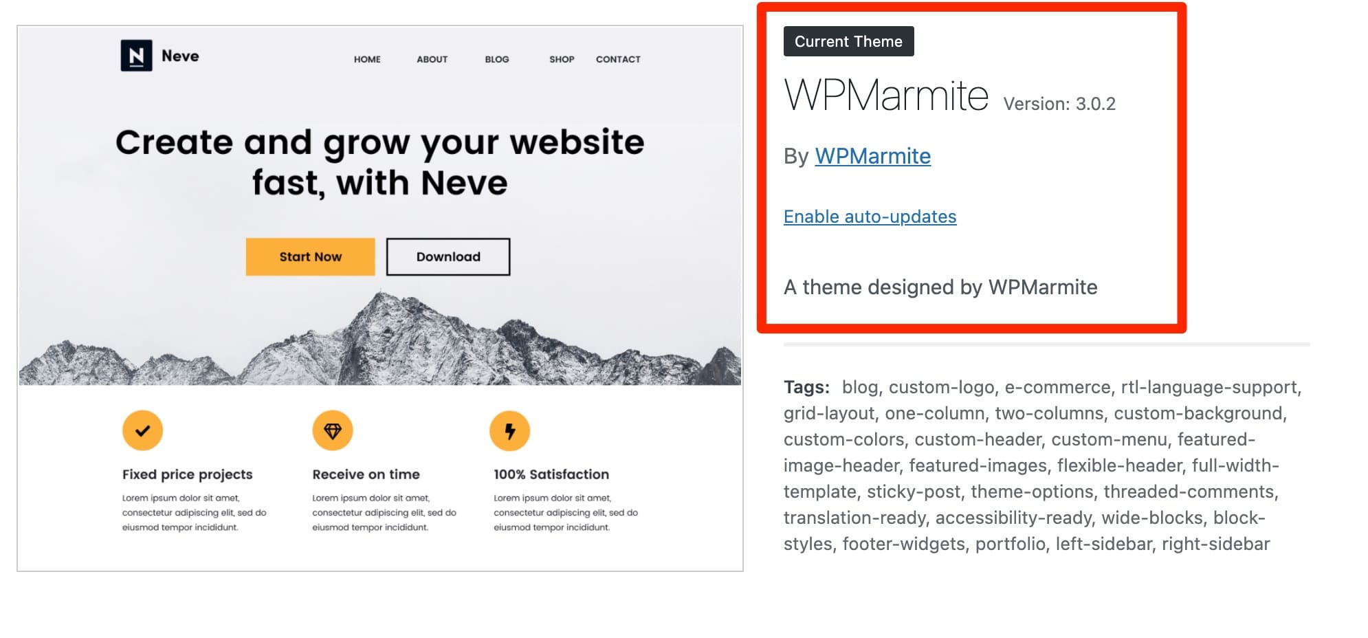Example of the white label use with WPMarmite on the Neve theme.