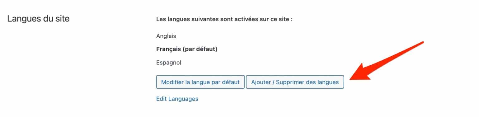 L'ajout de langues sur WPML.