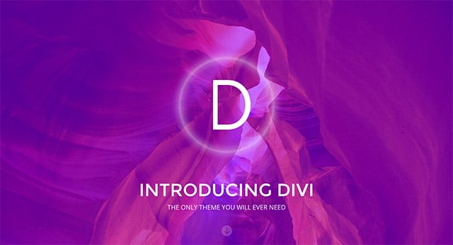 Démo « Landing » de Divi.