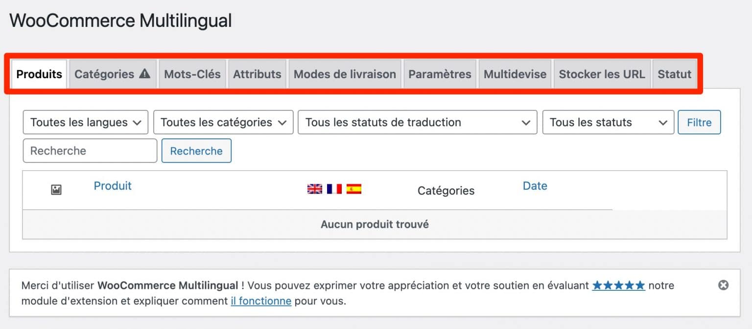 Les 8 onglets de WooCommerce Multilingual.