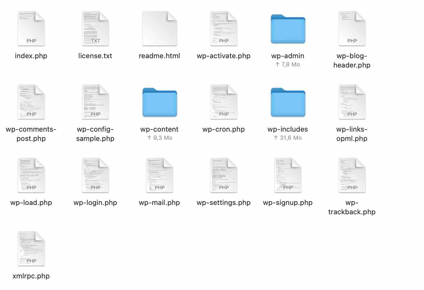 WordPress core files.