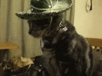 Wireframes: what are they?