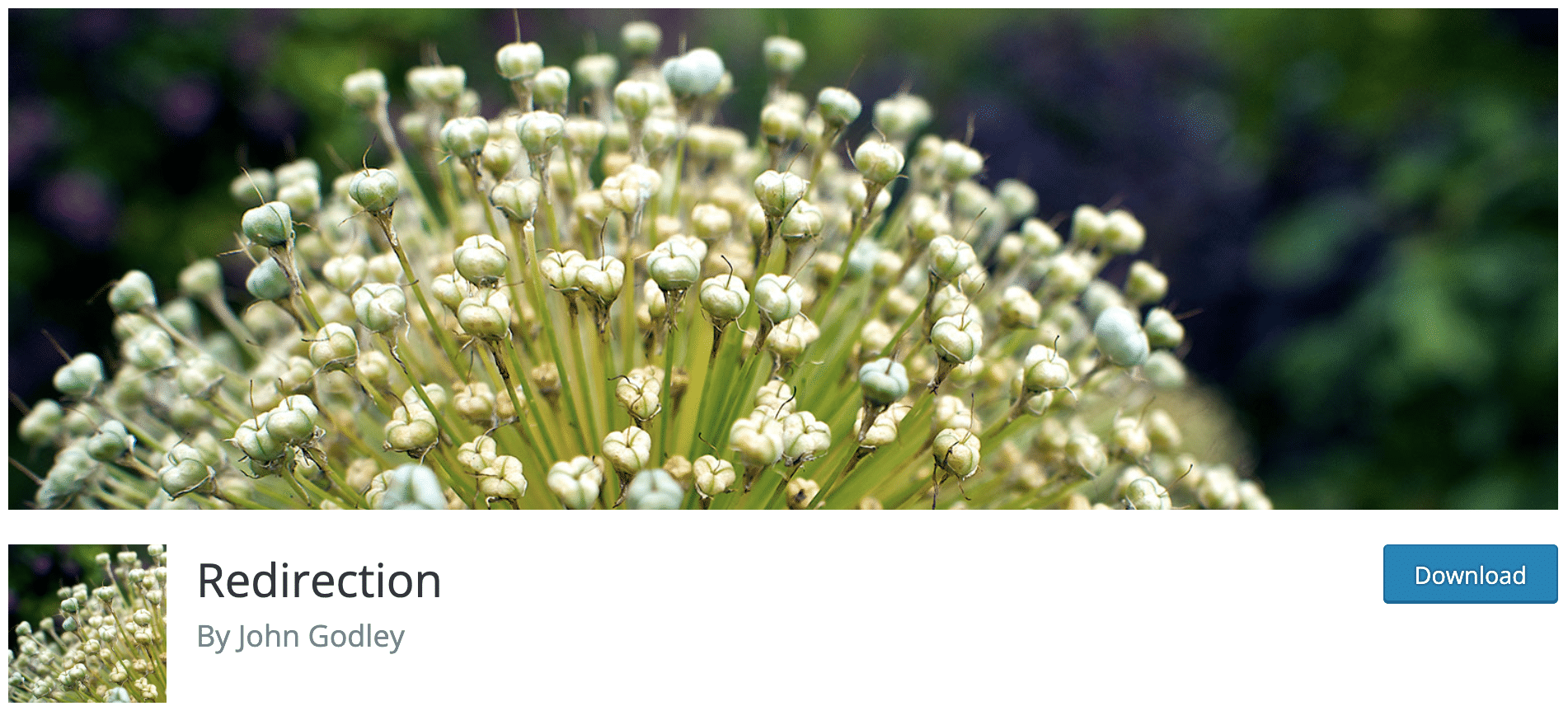 Download the Redirection plugin on the WordPress official directory to handle 404 errors.