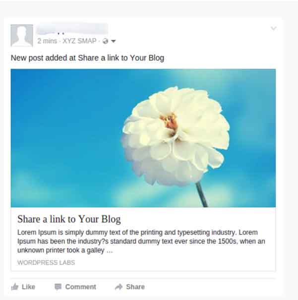 Exemple d'intégration au sein d'un article de l'extension WP2Social Auto Publish.