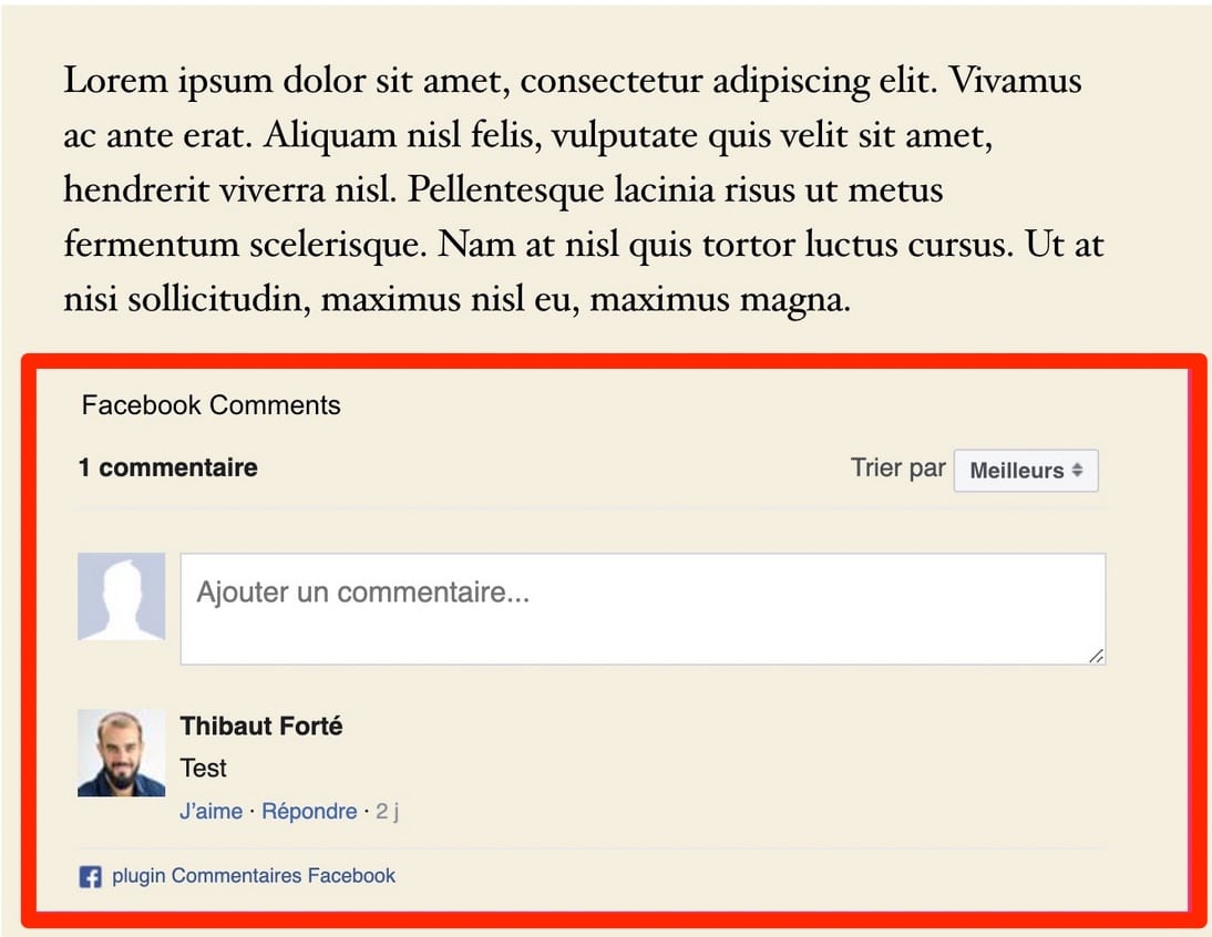 Un exemple d'intégration en page réalisé avec l'extension WpDevArt.