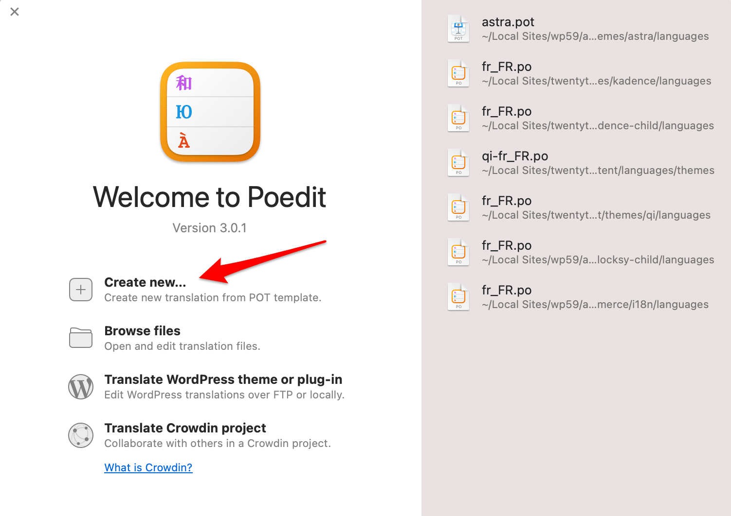 Translation of a WordPress theme or plugin with Poedit, from a .pot file.