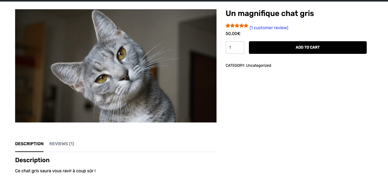 Avis client WooCommerce, derrière un onglet « Reviews ».