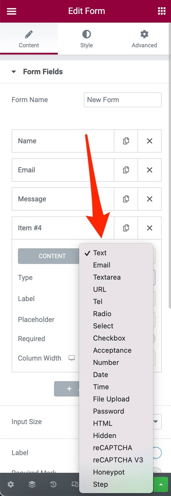 Form Fields on Elementor.
