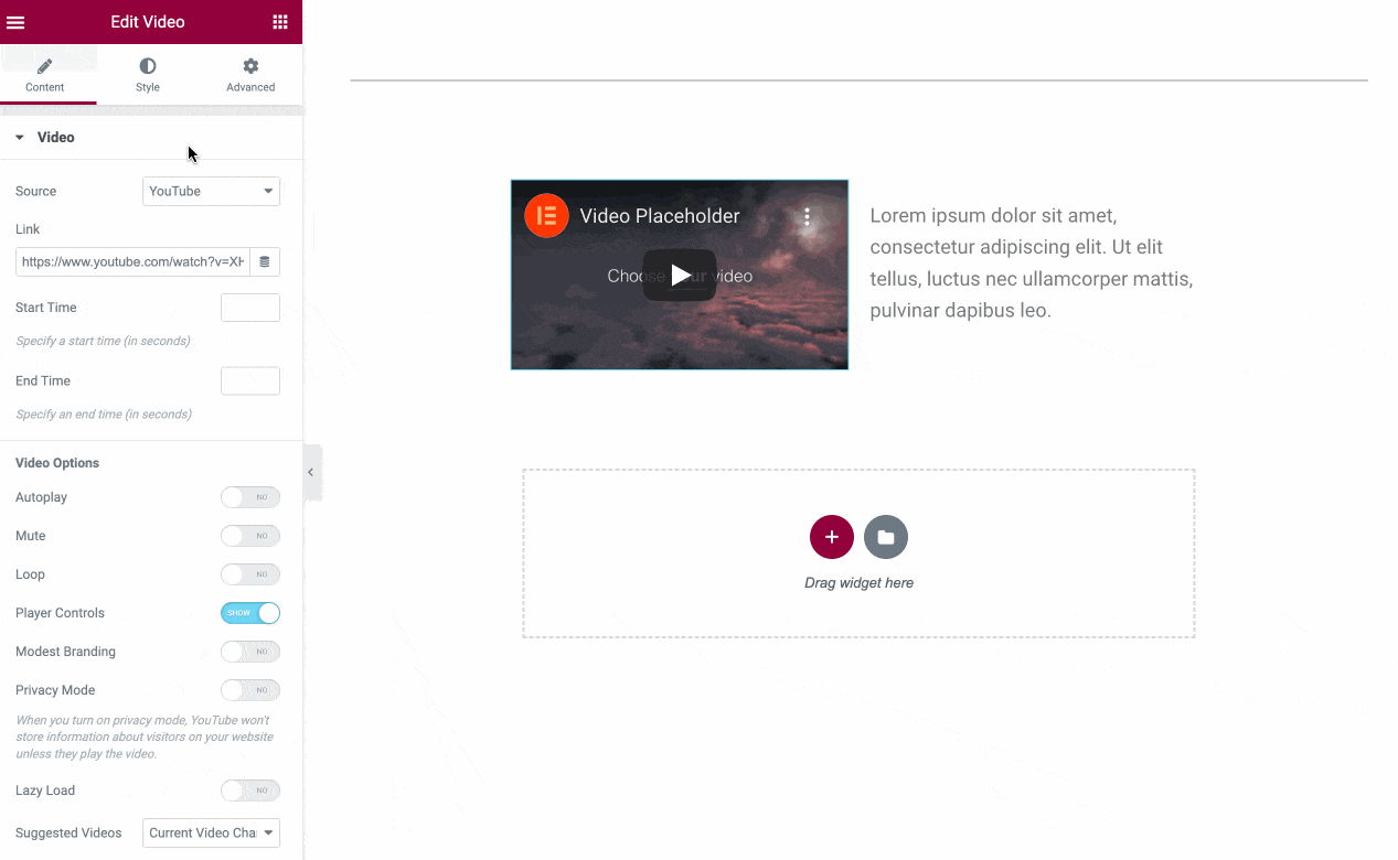 Widget customization on Elementor.