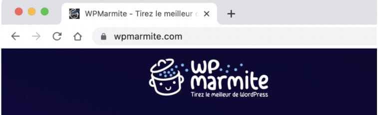 La favicon est l'icône qu'on retrouve sur les onglets du navigateur.