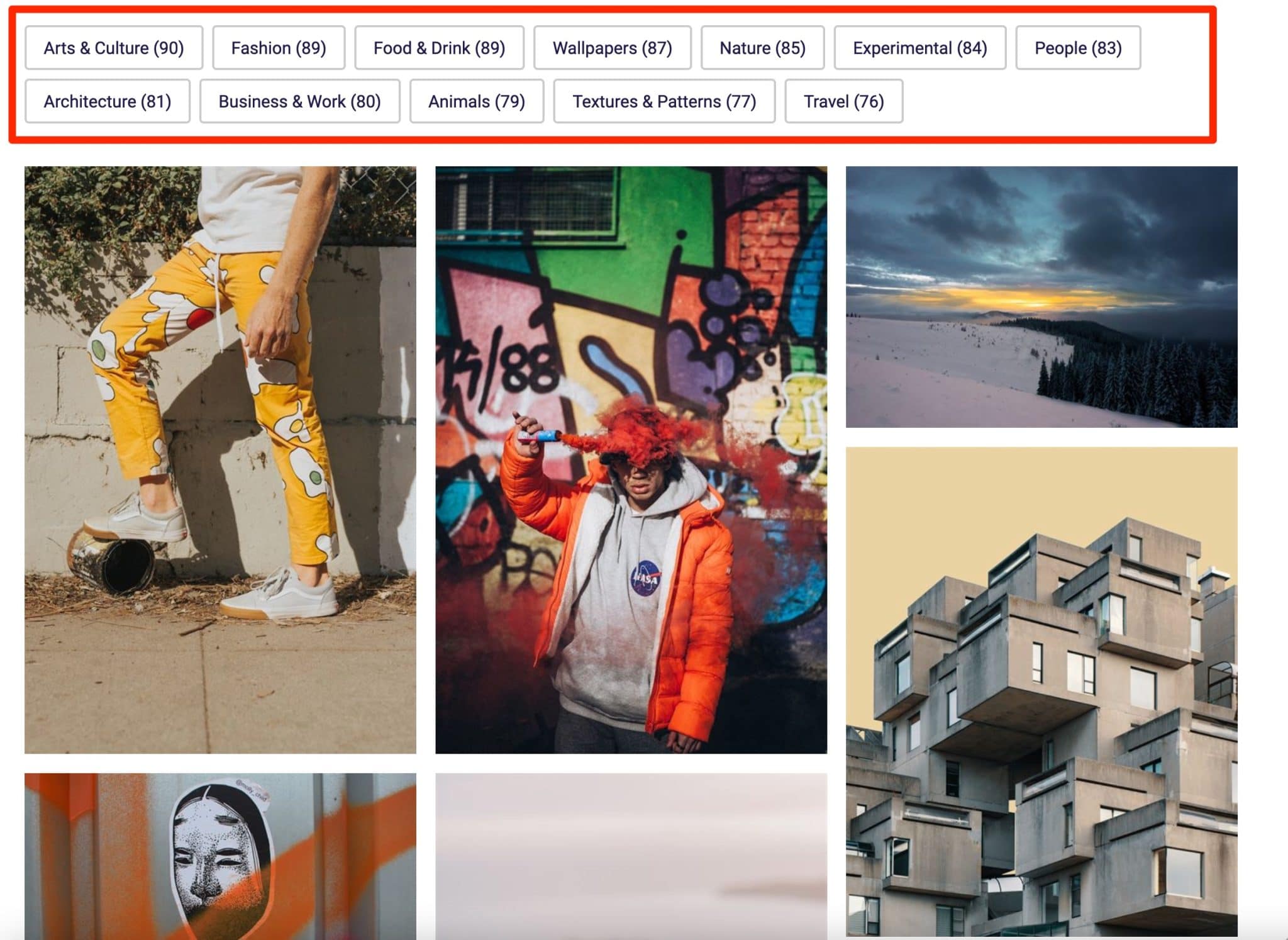 Vous pouvez rechercher des images par catégories dans un portfolio avec WP Grid Builder.