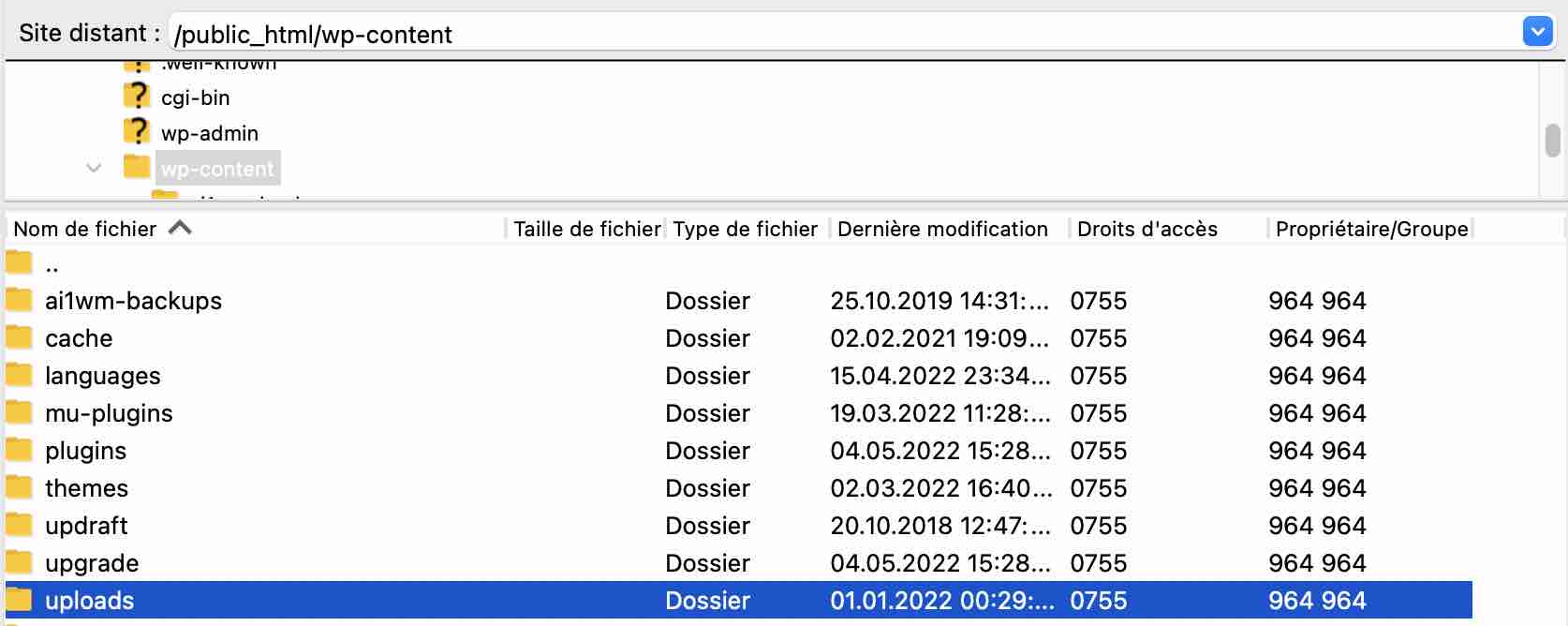 Le dossier « uploads » sur le FTP.